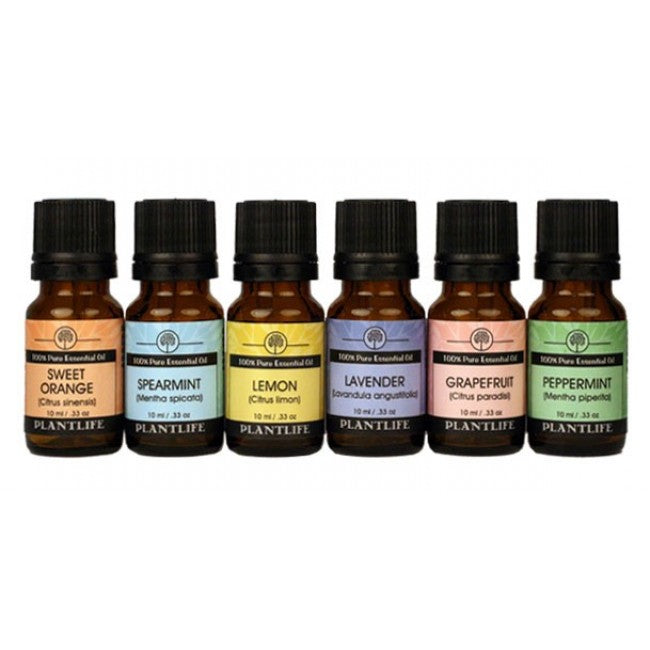 Home Aromatherapy Set 6 Pack - Set Includes: Six 100% pure essential oils