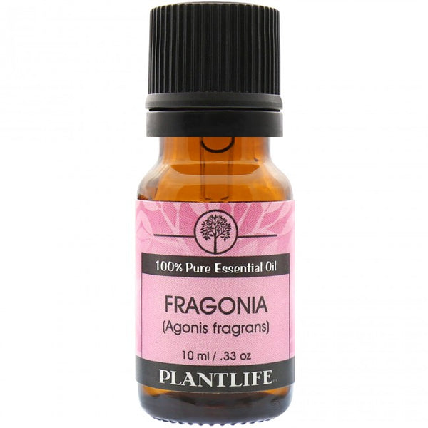 Fragonia - 100% Pure Agonis fragrans Essential Oil - Therapeutic grade