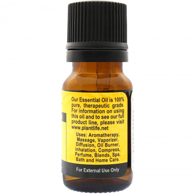 Helichrysum - 100% Pure Helichrysum italicum Essential Oil - Therapeutic grade