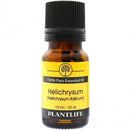 Helichrysum - 100% Pure Helichrysum italicum Essential Oil - Therapeutic grade