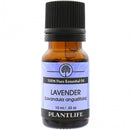 Lavender Bulgarian ~ Therapeutic Grade Essential Oil