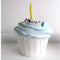 Birthday Cake Cupcake ~ Luxurious Bath Bomb ~ Handmade